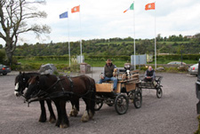Horse and Carriage Tours at Newgrange Lodge Meath